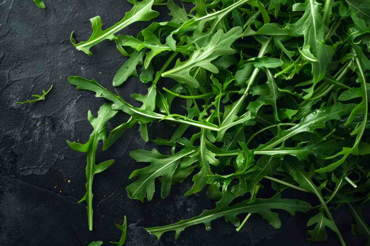 How To Grow Arugula Indoors